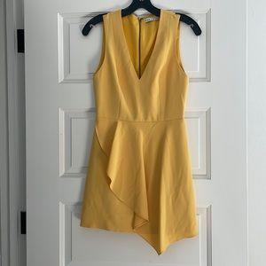 Alice and Olivia dress